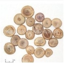 马钱子粉_马钱子粉价格_优质马钱子粉批发\/采