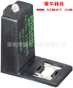 3124811_normal_副本