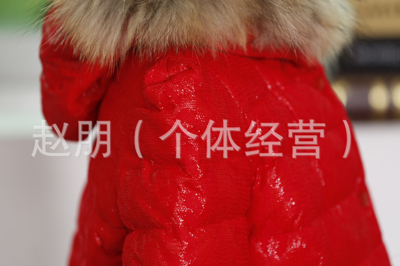 照片 208
