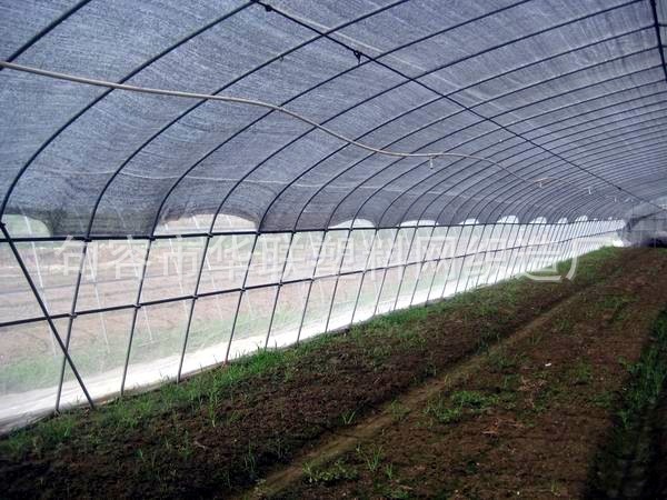 塑料网-【诚信商家】供应高性价比遮阳网拱棚