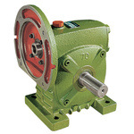 360524061_288963207.search