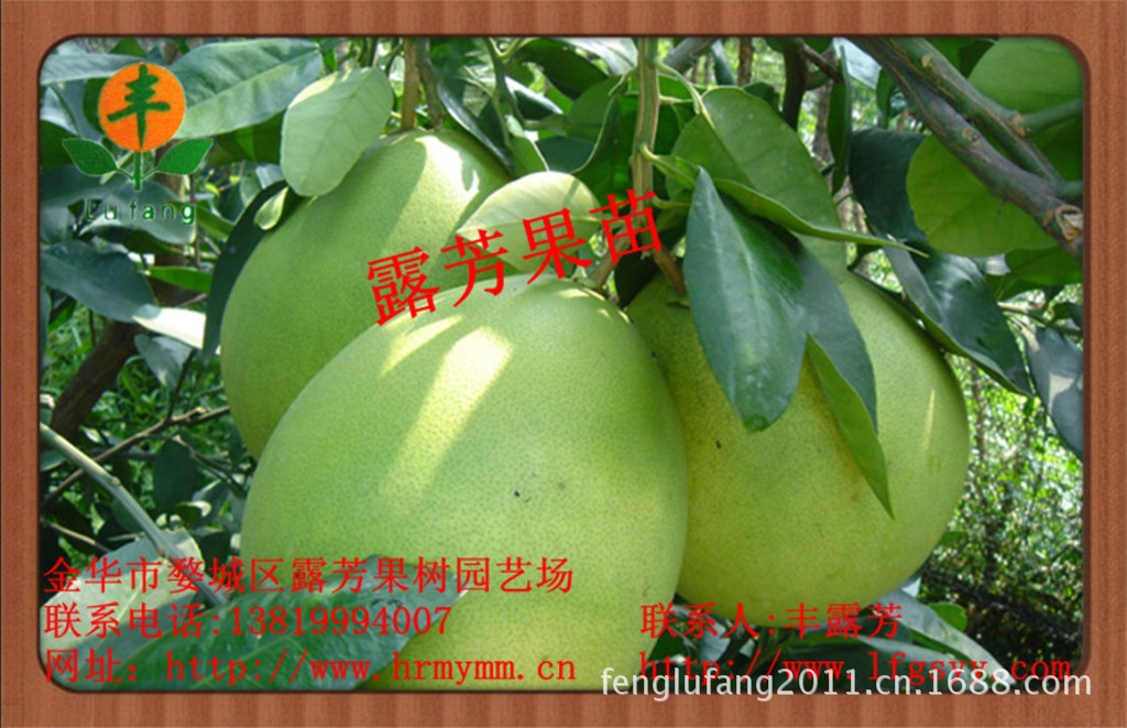 af8319df7b9eeb536_副本