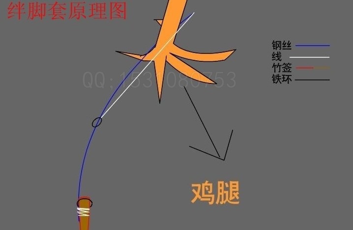 竹绊脚套/野鸡夹子斑鸠鸽子吊脚套图片_4