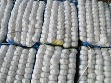 包装紫皮大蒜_大蒜价格_优质大蒜批发\/采购