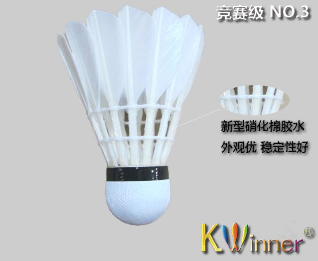 竞赛03 球体副本