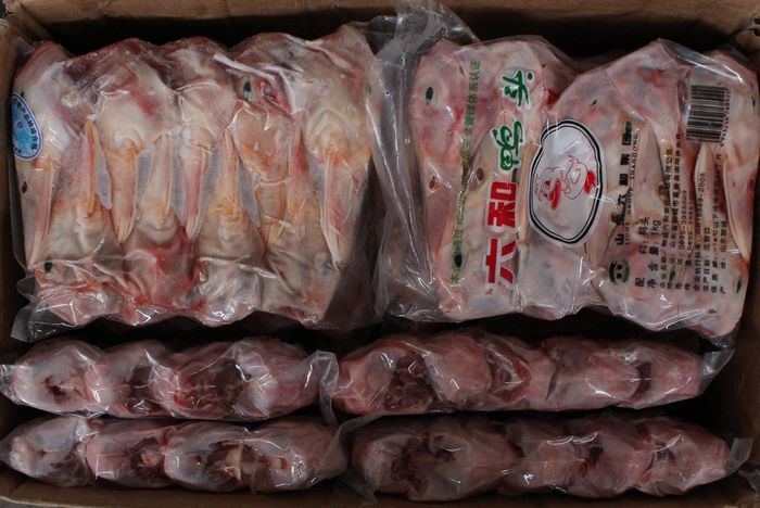 【优质鸭头 鸭脑壳 速冻鸭肉 各种冷冻鸭产品 价