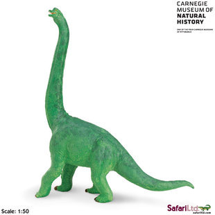 【美国Safari正品珍藏版腕龙仿真恐龙模型玩具