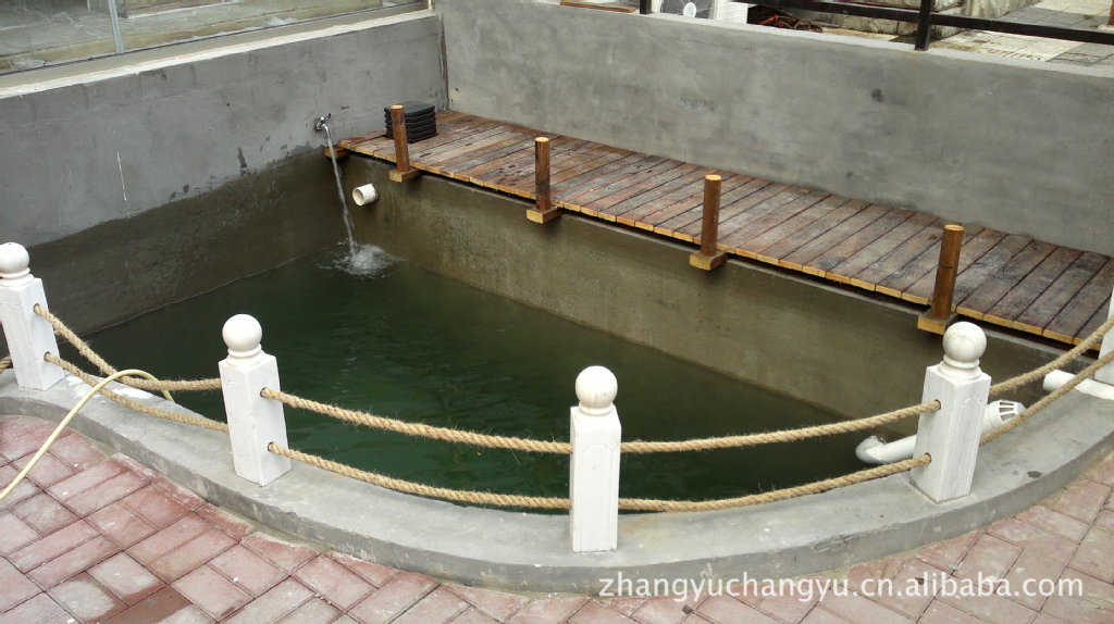 家庭庭院内鱼池建造