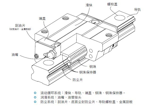 EG本体结构