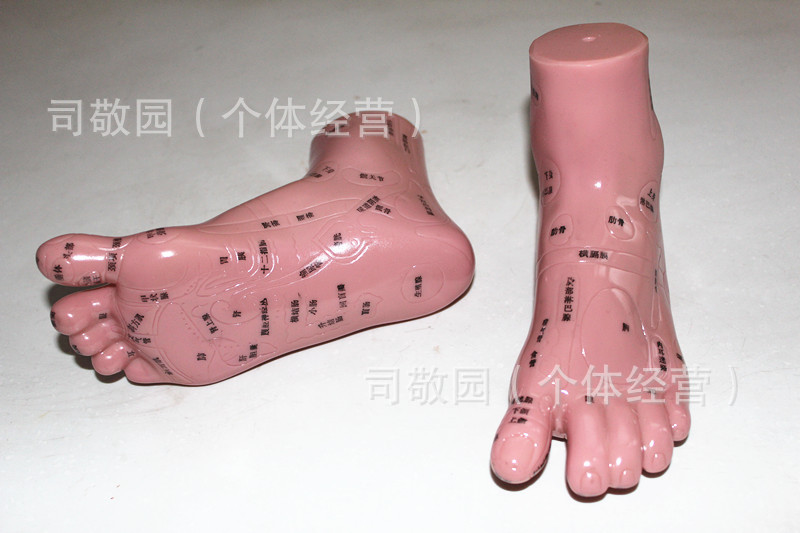 照片 24138_副本