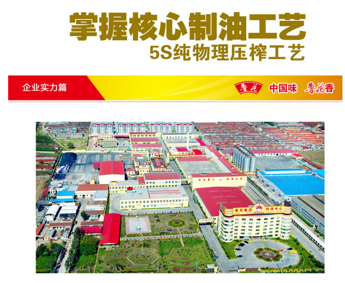 批發(fā)團(tuán)購(gòu)5L裝魯花5S壓榨一級(jí)花生油/魯花花生油鄭州總代理/