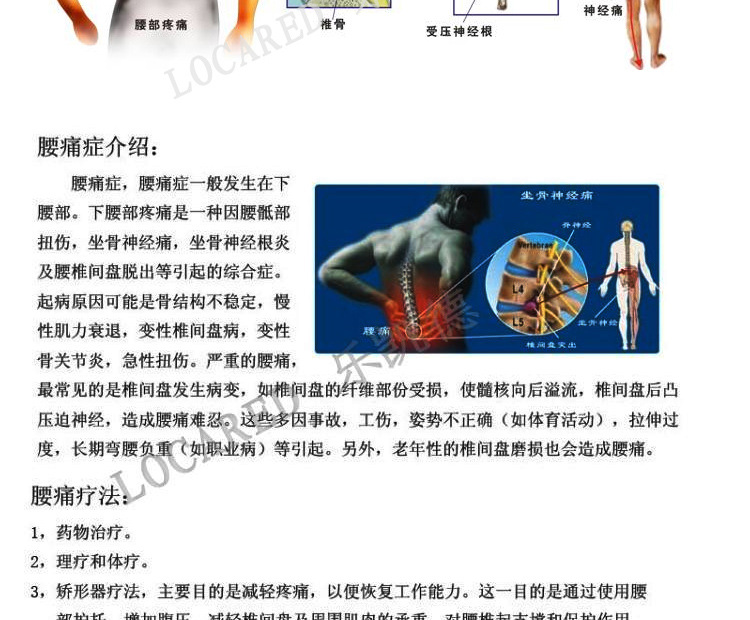 Locared 乐凯德 医用护腰带L03 腰椎间盘突出