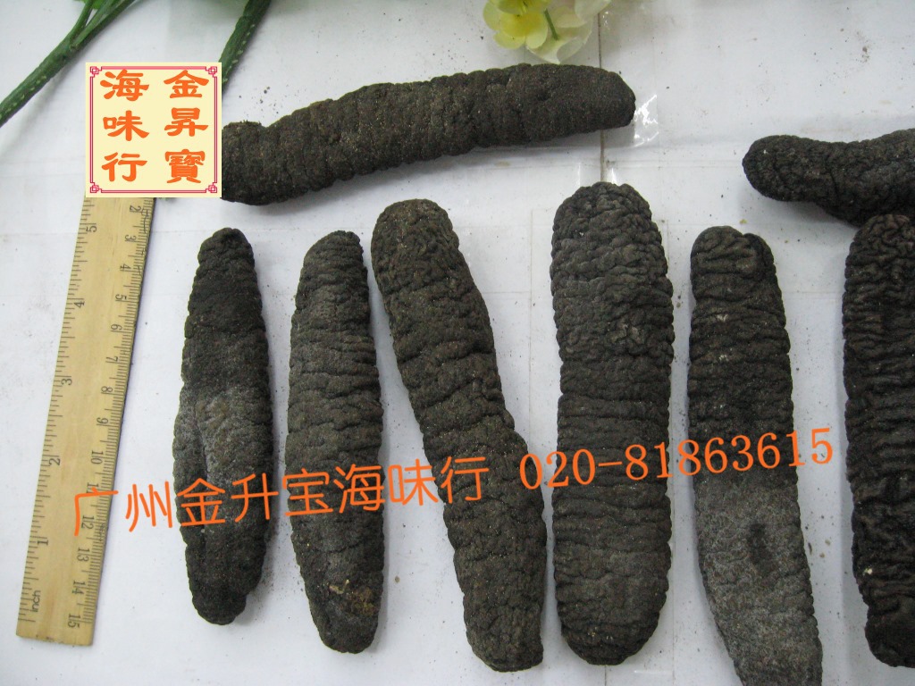 【印尼 进口野生海参 大乌参 6-8头\/斤\/100元 产