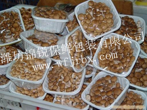 锦锐-菌类活性气调保鲜膜