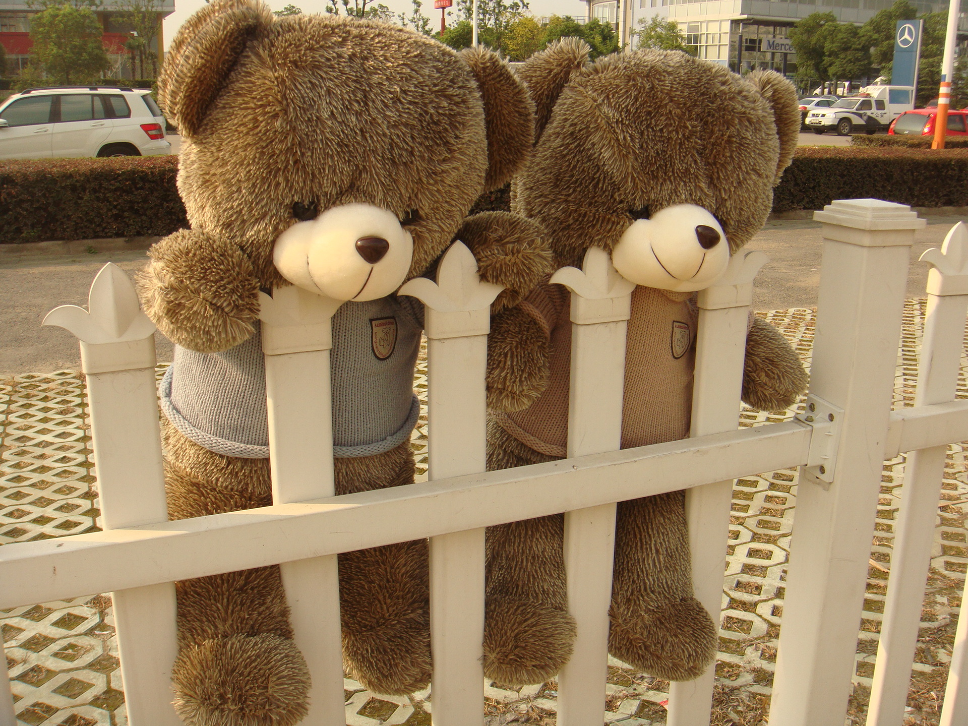 【泰迪熊毛绒玩具熊 大熊 可爱公仔 正版大号熊