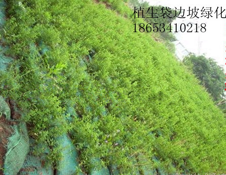 植生袋边坡绿化