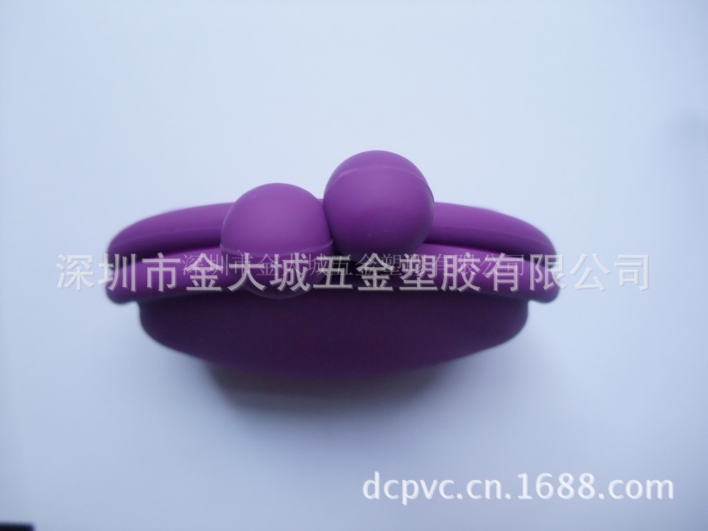 DSCF8613