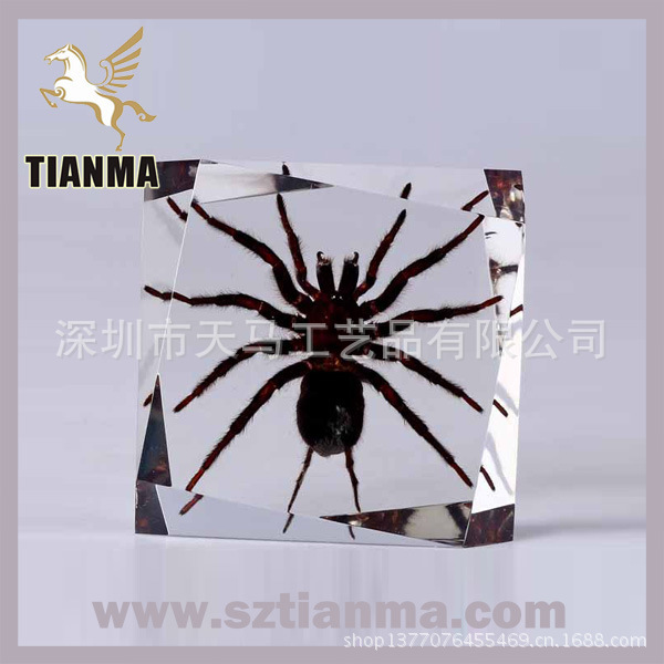 insect-paperweight-h06-567