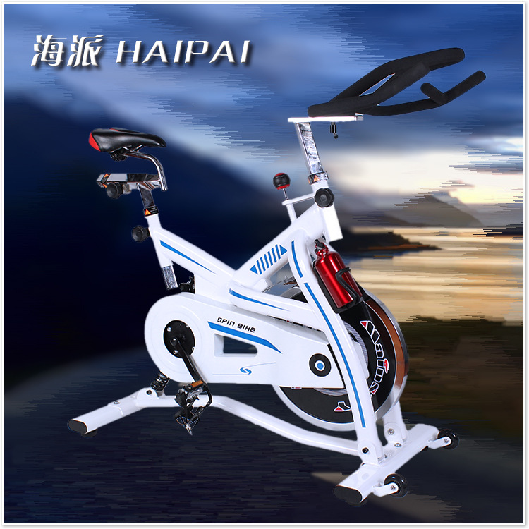 动感单车超静音家用室内健身器材脚踏减肥运动