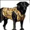 dog vest
