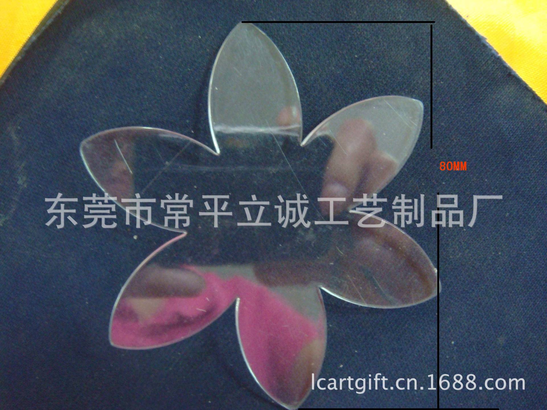 DSC05519