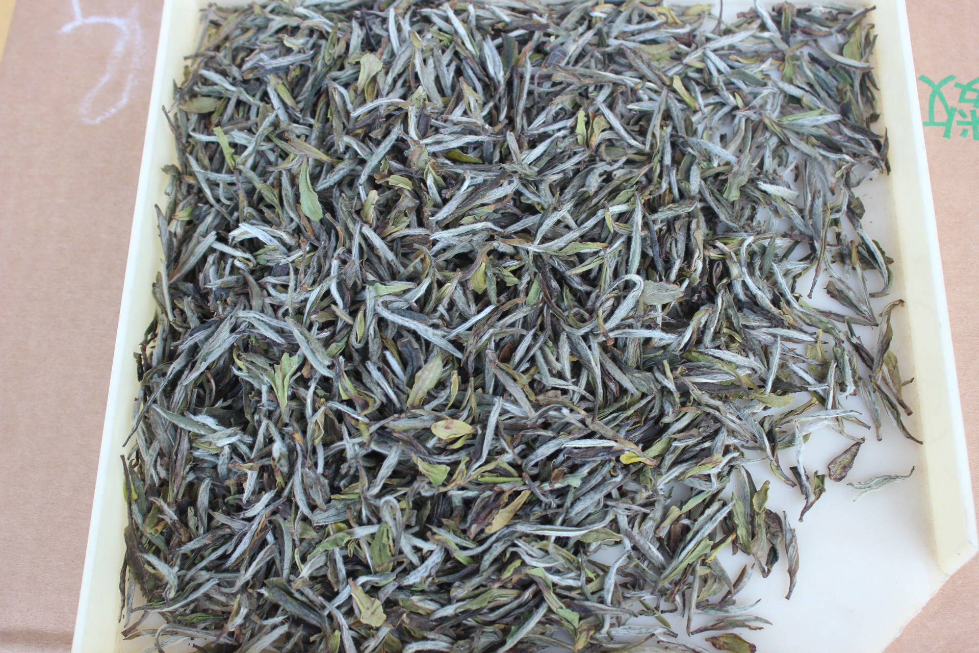 大白茶-福鼎大白茶成苗--阿里巴巴采购平台求购产品详情