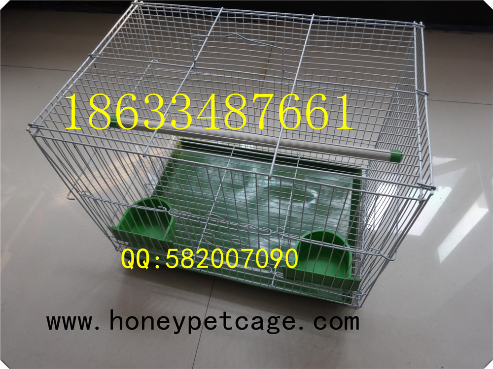 铁丝鸟笼 小群 (8)