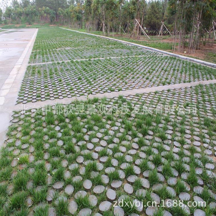 鄂托克旗植物园停车场