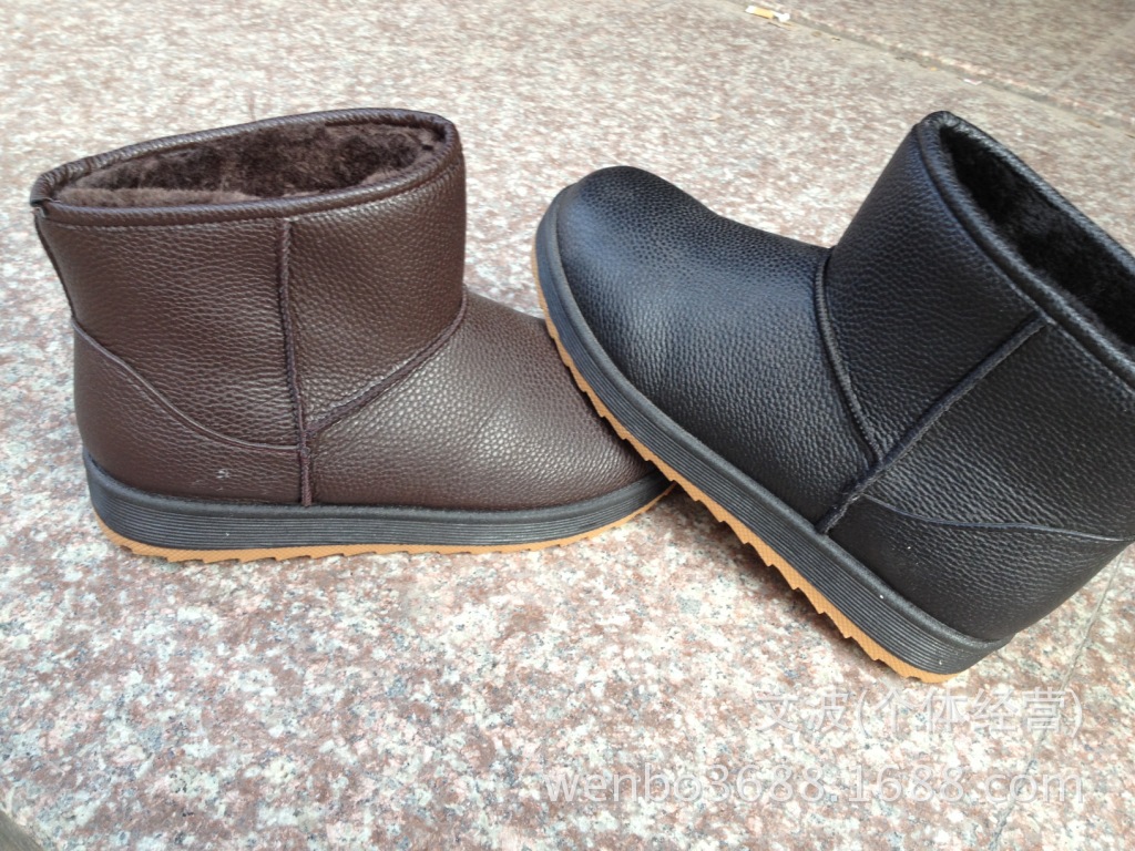 照片 113
