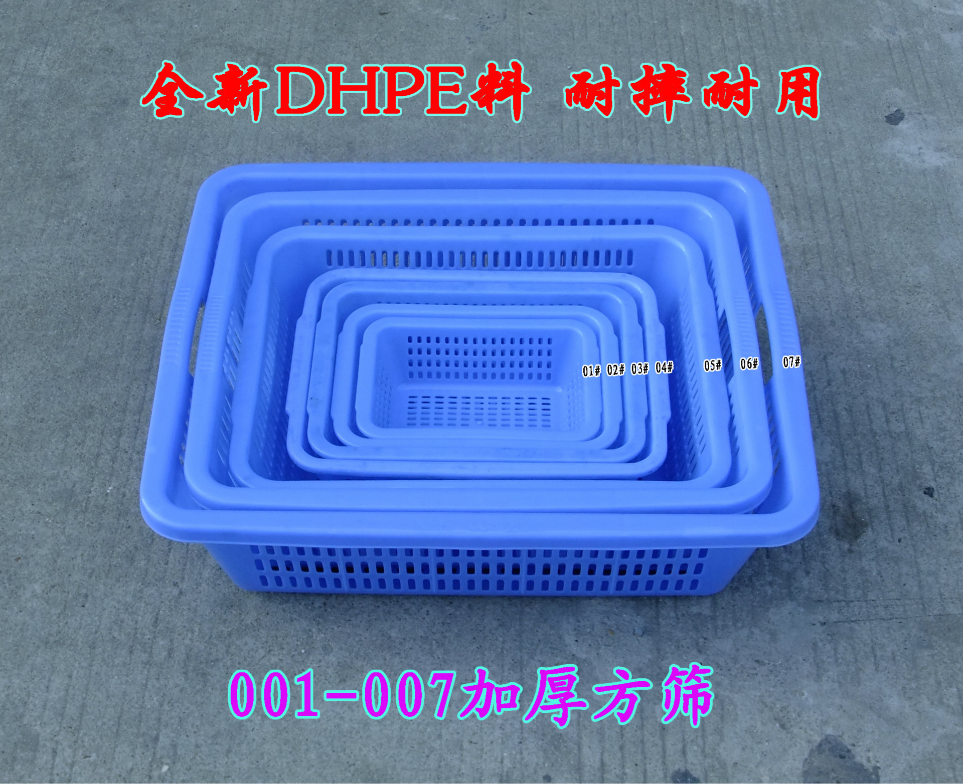 DSCF1669副本