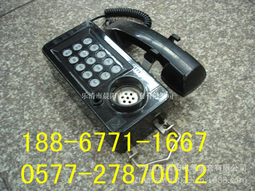 DSC04226_副本_副本