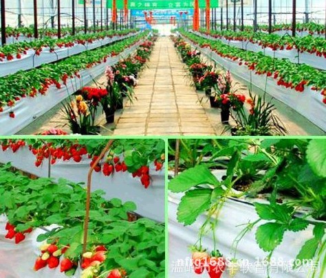 QQ图片20130710102413