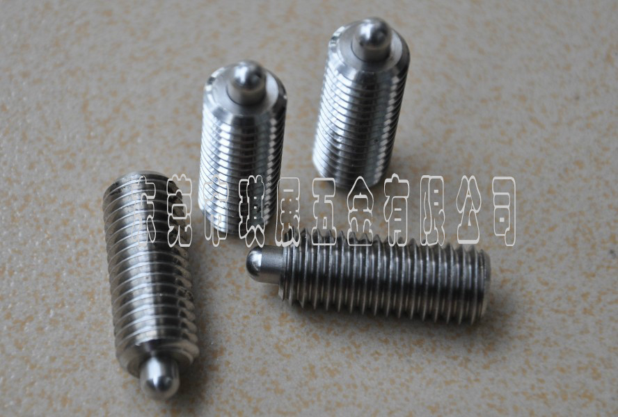 不锈钢弹簧柱塞2