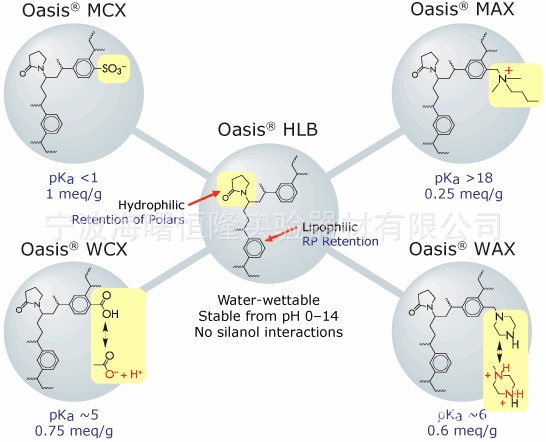 oasisspe_detail_1