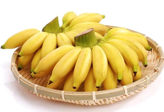 Ʒ \ 12kg/         ̩ʵ۽:ʵ۵޵㽶