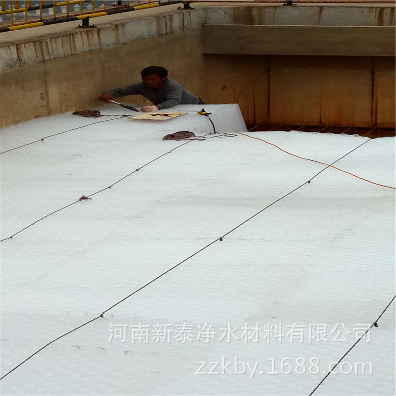 蜂窝斜管234 (14)