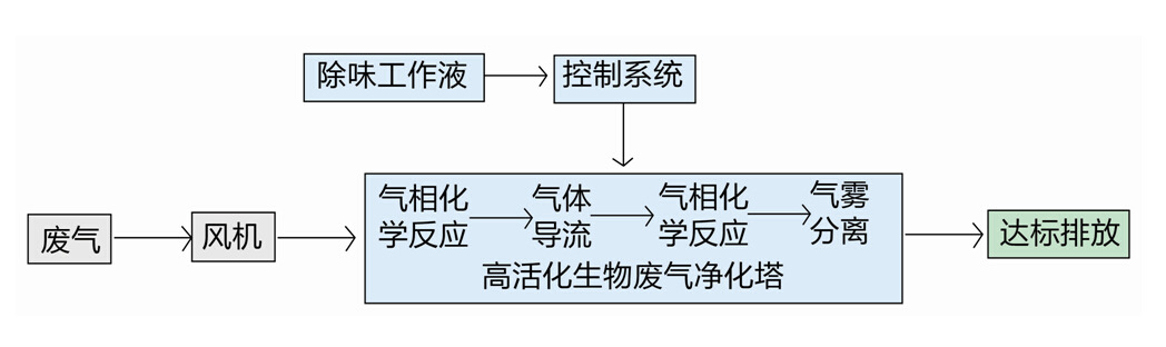 净化流程