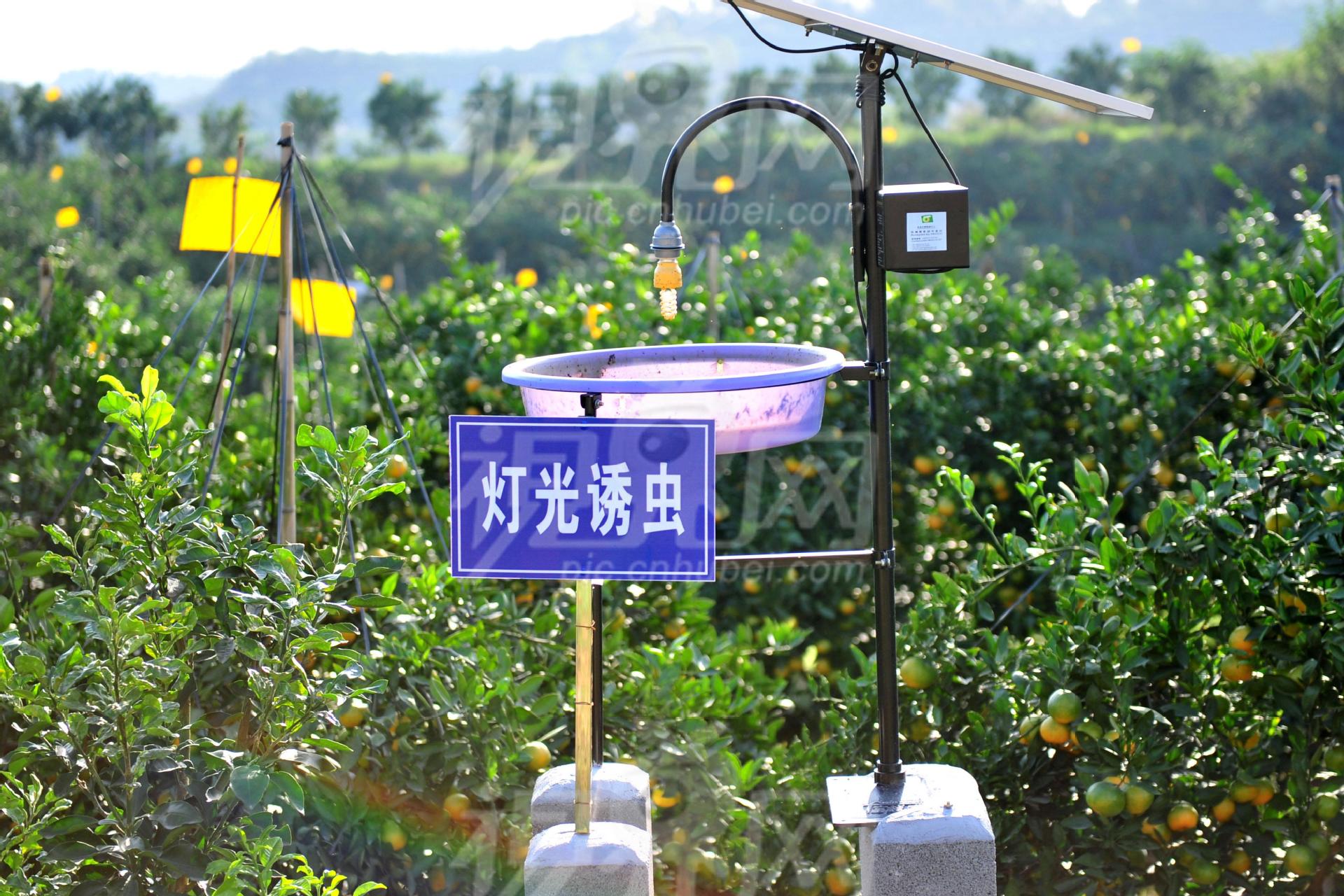 正唐太阳能诱杀灭虫器户外灭蚊器室外杀虫灯灭虫器电子驱蚊器照明