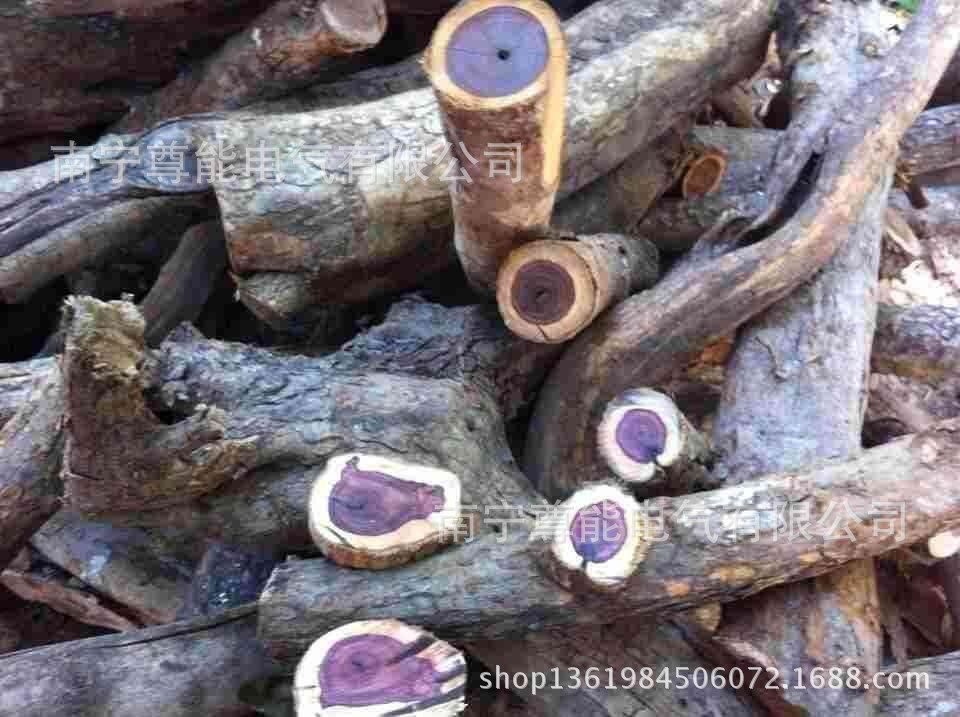 现货供应 30x30以上草花梨 花梨木 精方原木 越南花梨