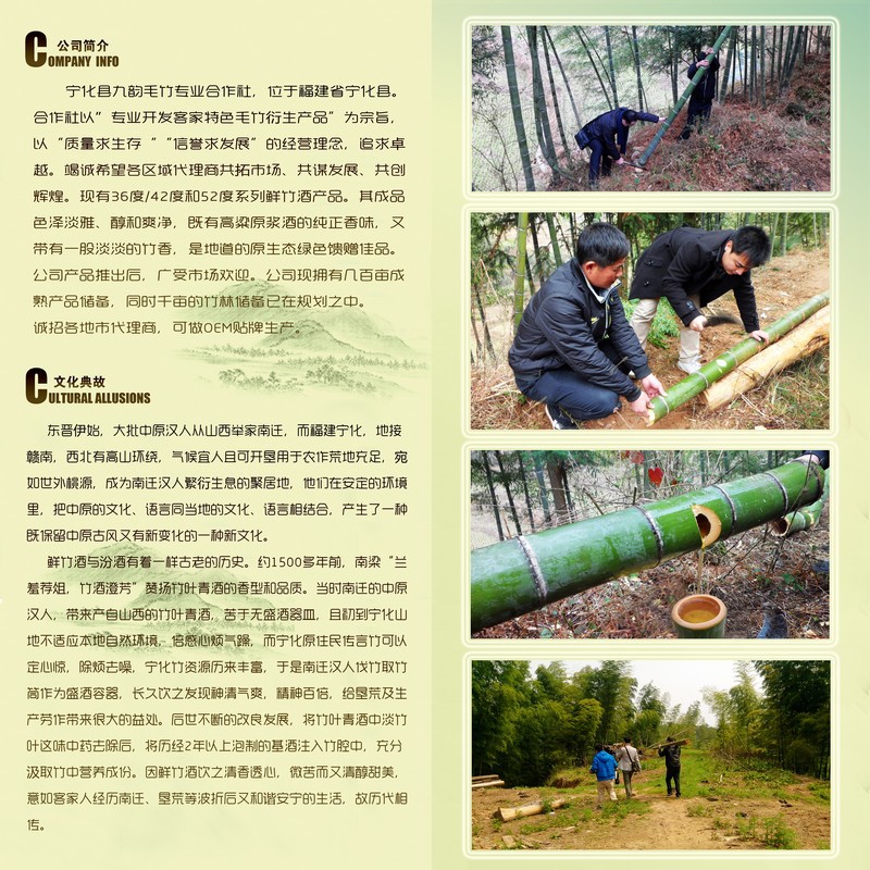 DM单2014版内页