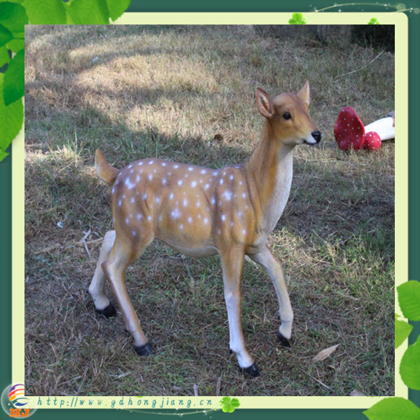 梅花鹿-雌鹿1