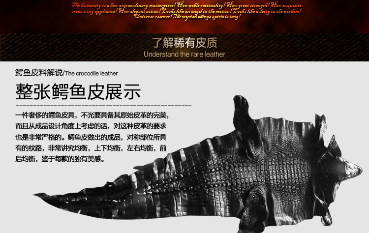愛馬仕手拿包詳情_07
