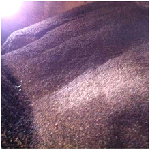 养殖鲫鱼饲料_饲料价格_优质饲料批发\/采购