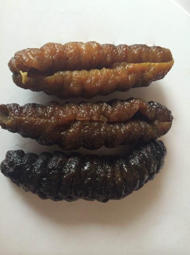 海参-北京批发加拿大海参肉,美国桂花蚌,加拿大