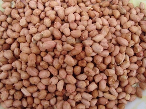 QQ圖片20141010142904