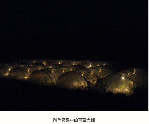 【棚鲜牌生长灯红外线灯动植物增温灯大棚蔬菜
