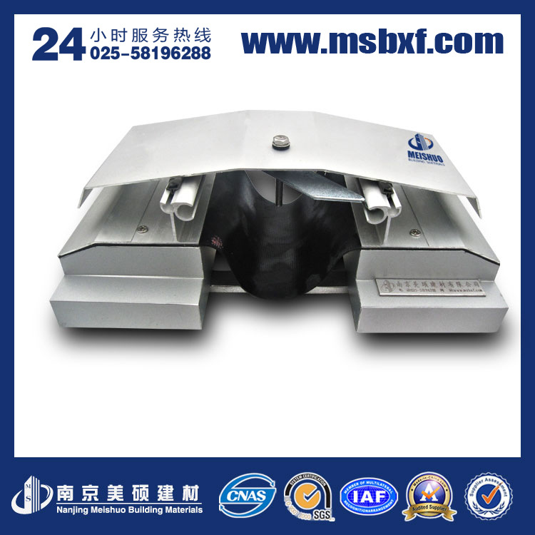 20屋面變形縫MSWGZ