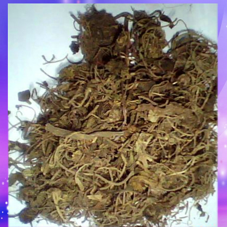 植物原药材-亳州正品中药材秦九 植物原药材批