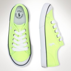 pPOLO2-17137834_standard_t240