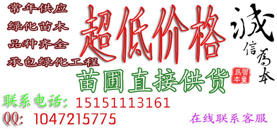 宝贝介绍1